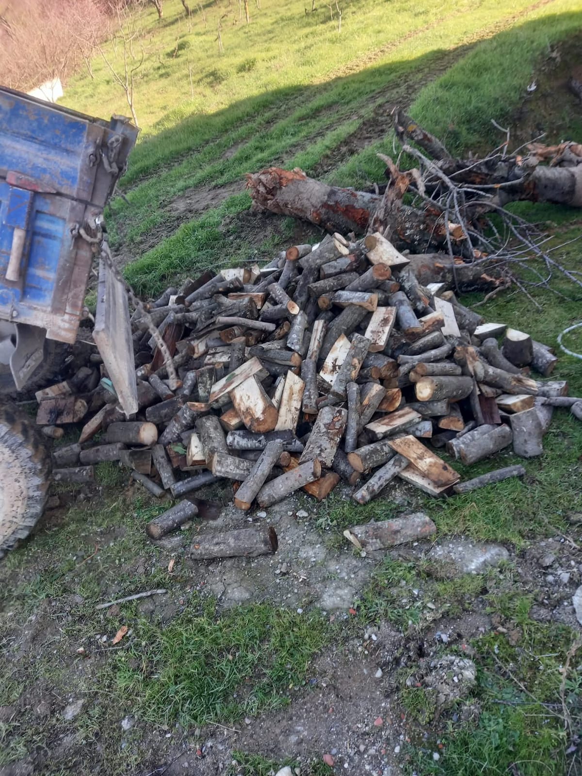 KAYA İNŞAAT EMLAK AĞAÇ SANAYİ LTD. ŞTİ. 